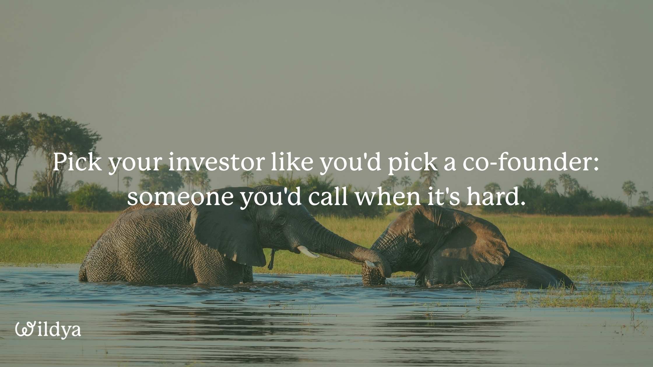 vc-fundraising-choice