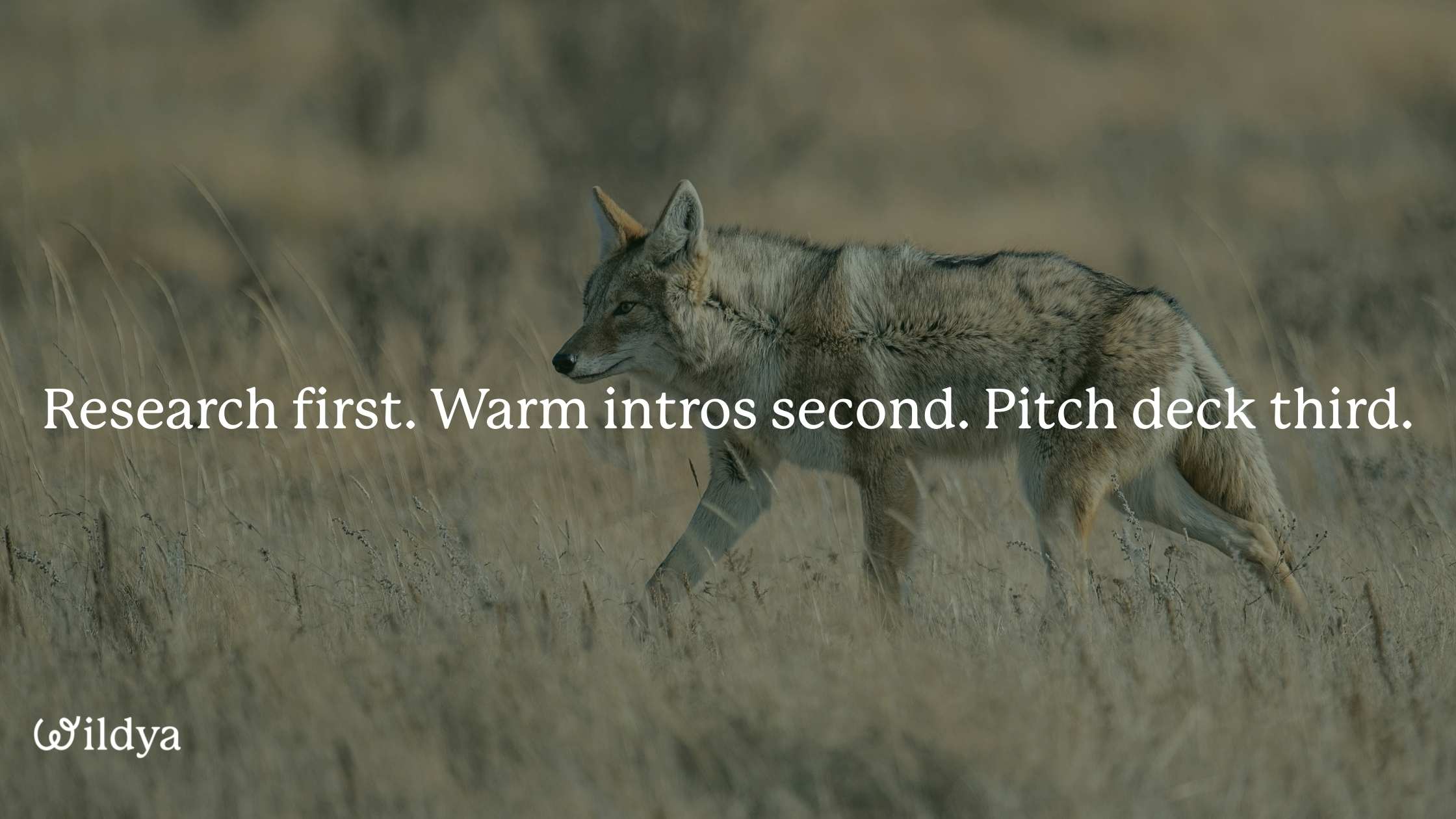 vc-fundraising-process