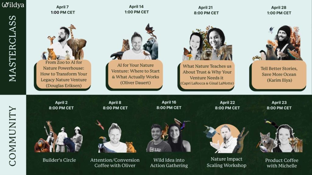 wildya-april-events-lineup