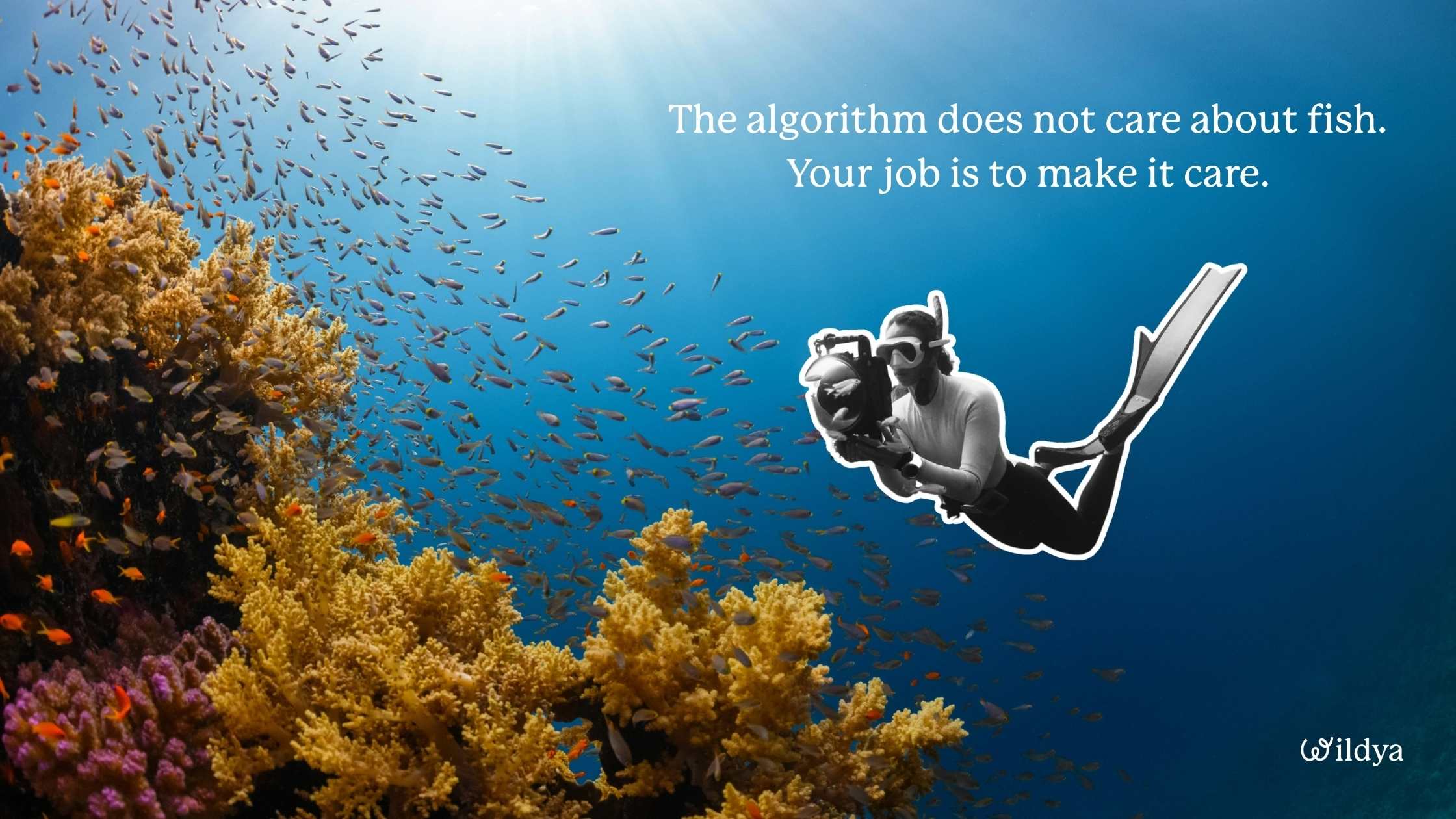 The-importance-of-telling-stories-for-conservation-social-media