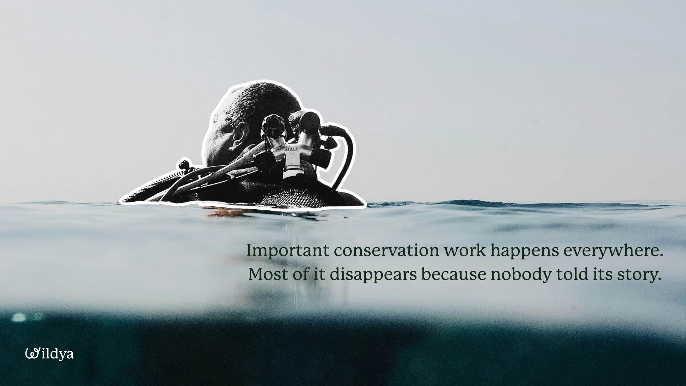 The-importance-of-telling-stories-for-conservation