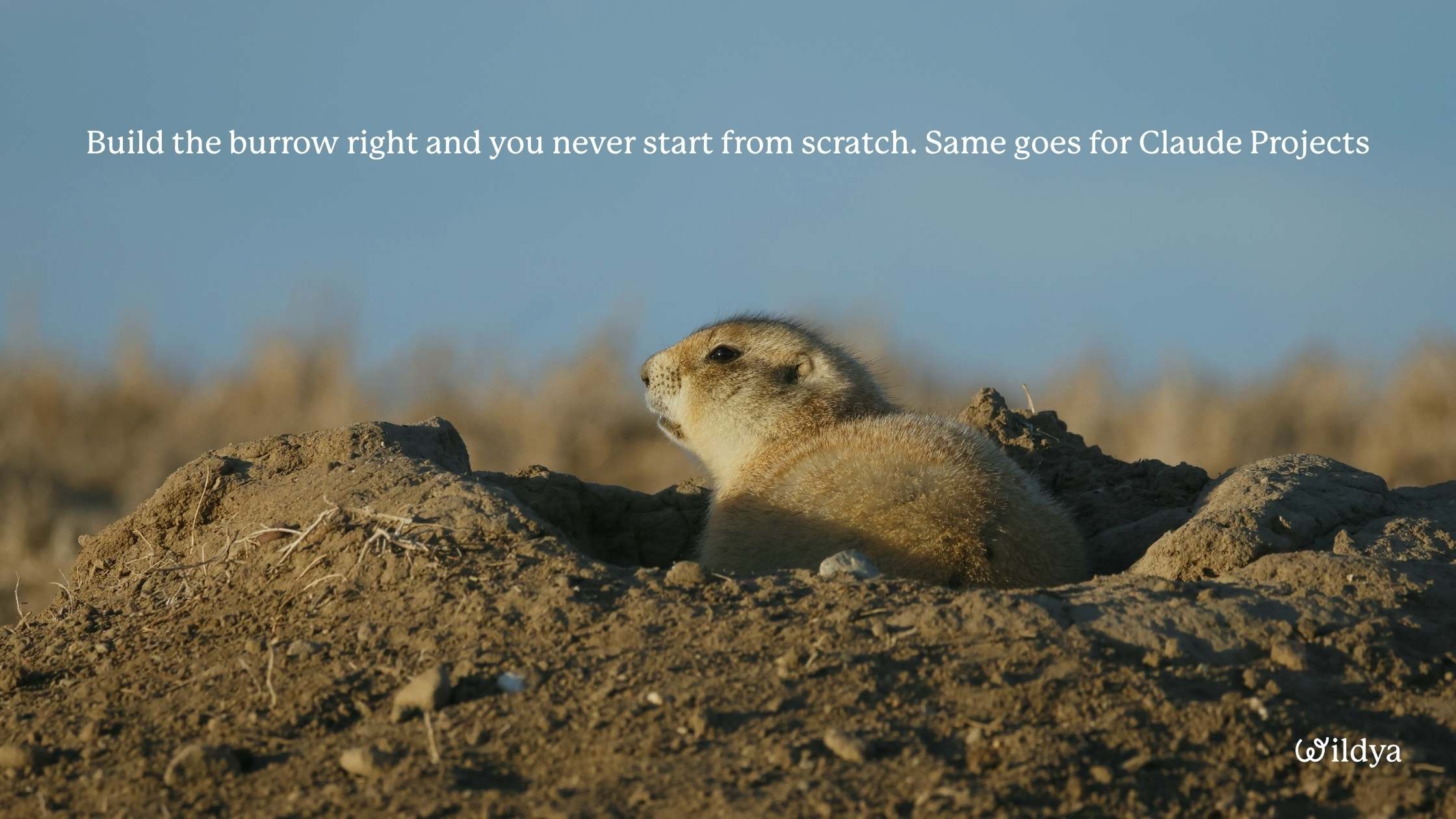 best-ai-tools-for-business-Claude