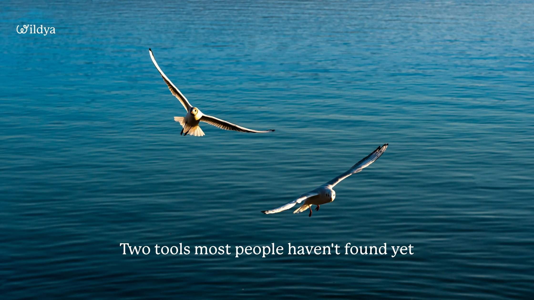 best-ai-tools-for-business-worth-checking