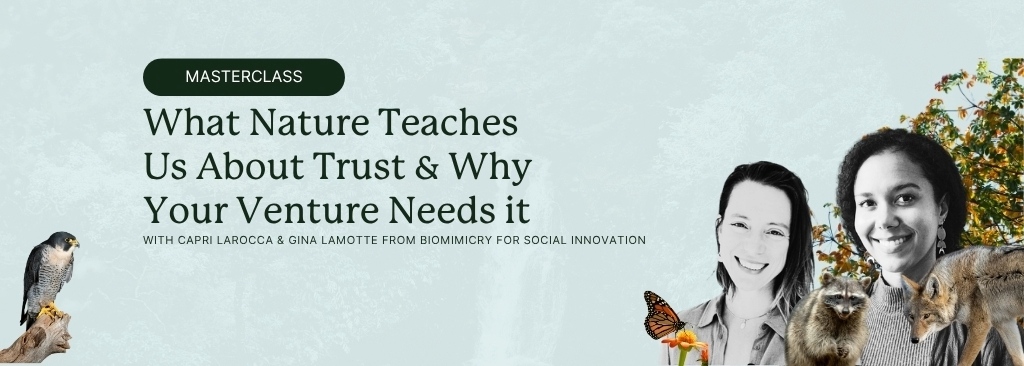 trust-in-business-capri-larocca-gina-lamotte-wildya-masterclass