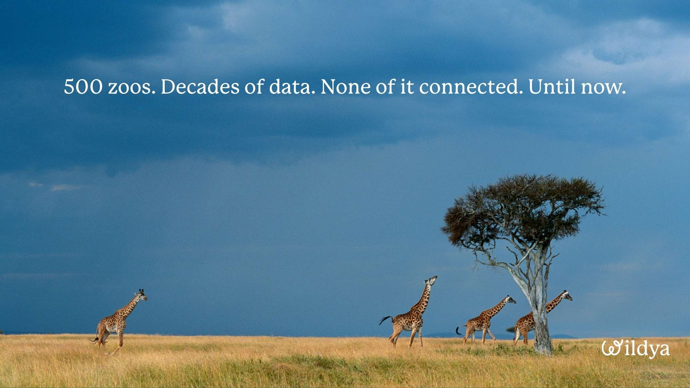 changing-conservation-and-zoos-with-AI-project-ZOA