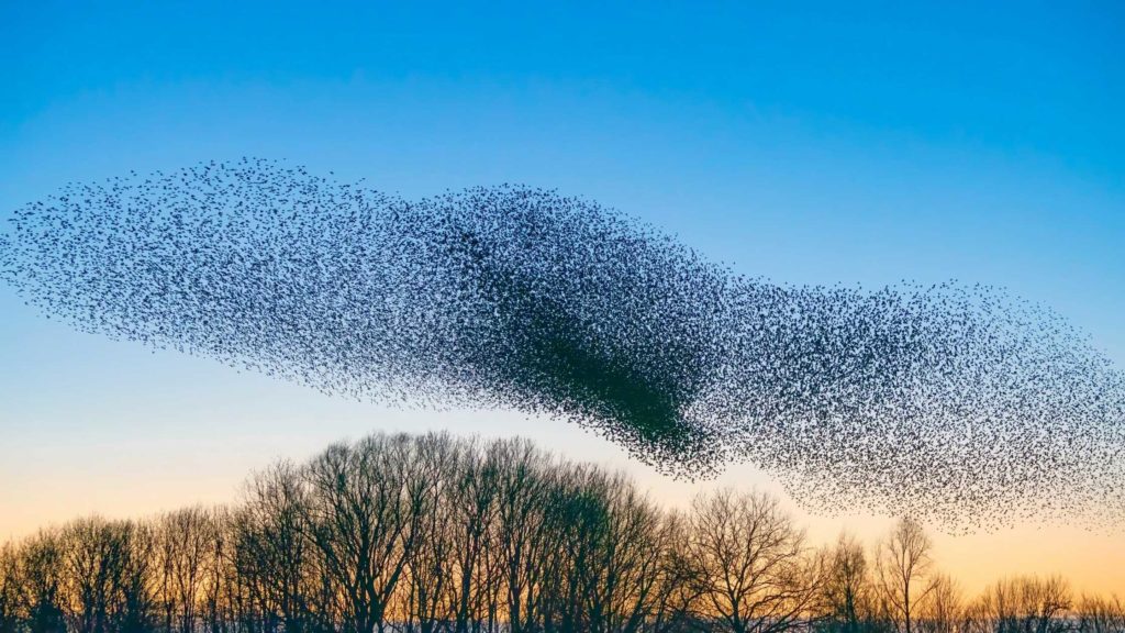 how-to-build-an-online-community