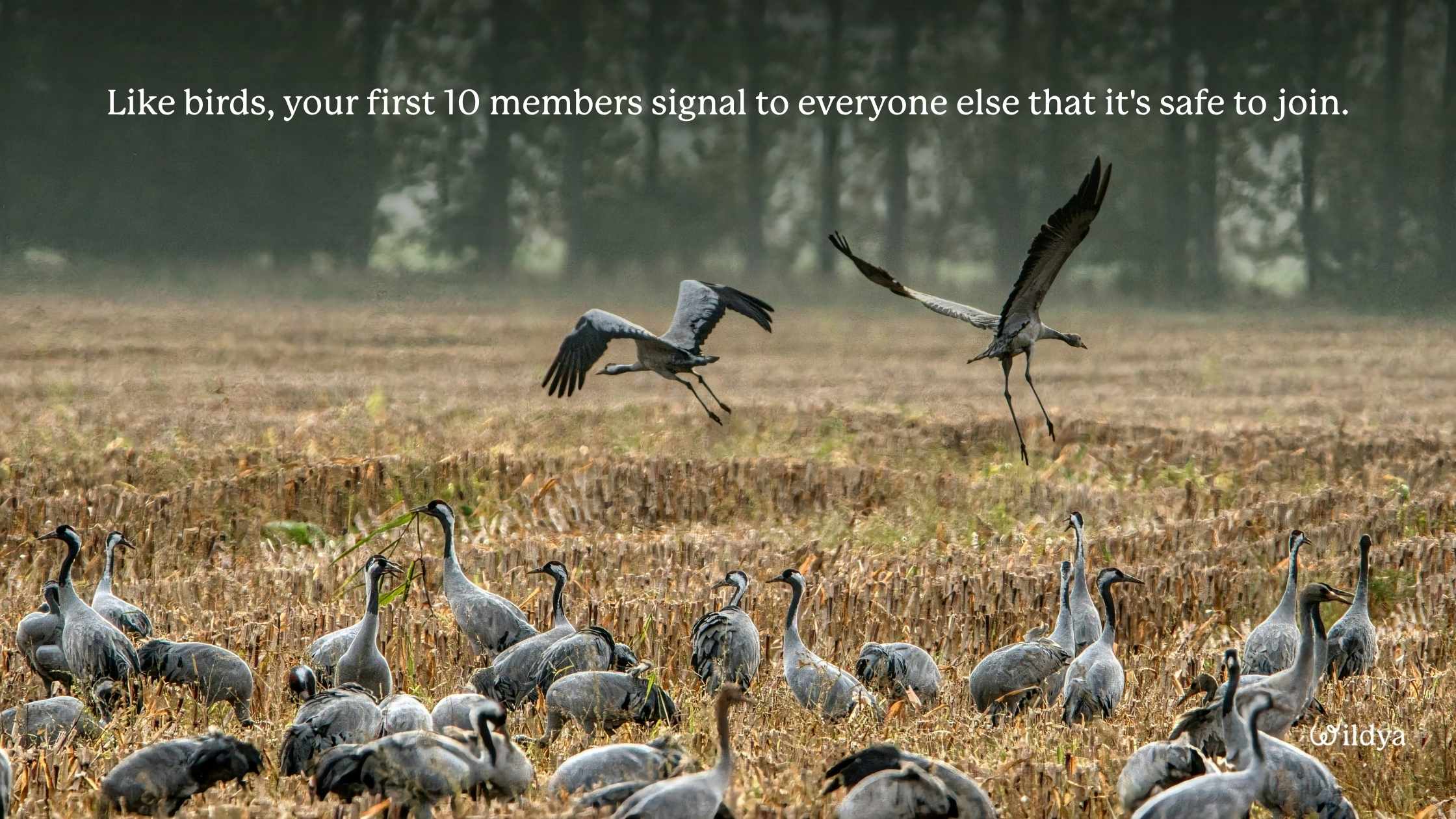 how-to-build-an-online-community-from-scratch