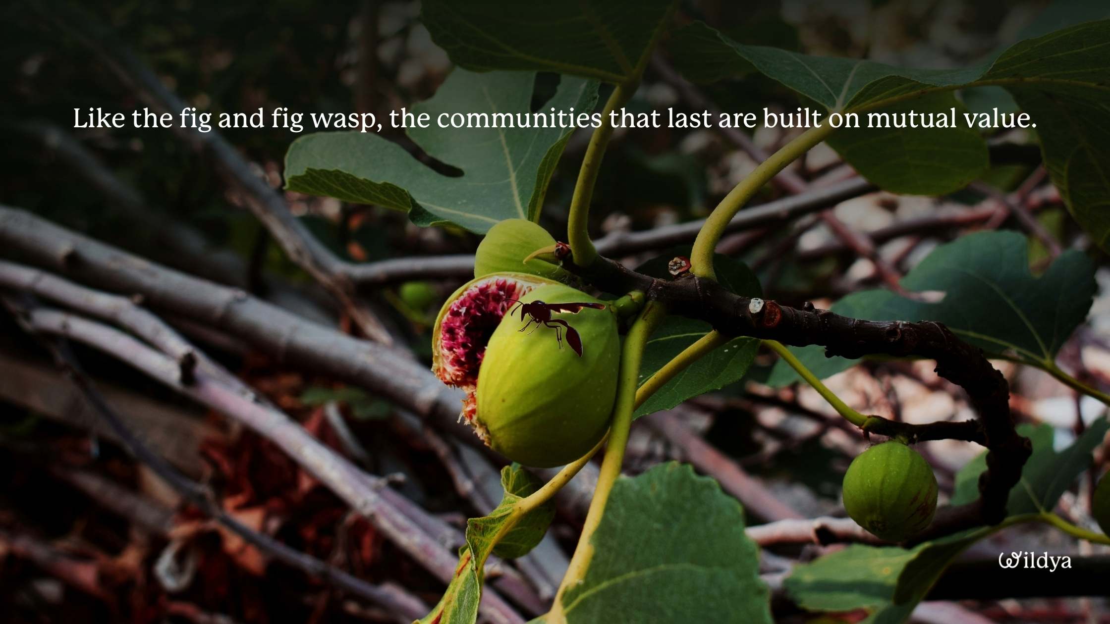 how-to-build-an-online-community-mistakes