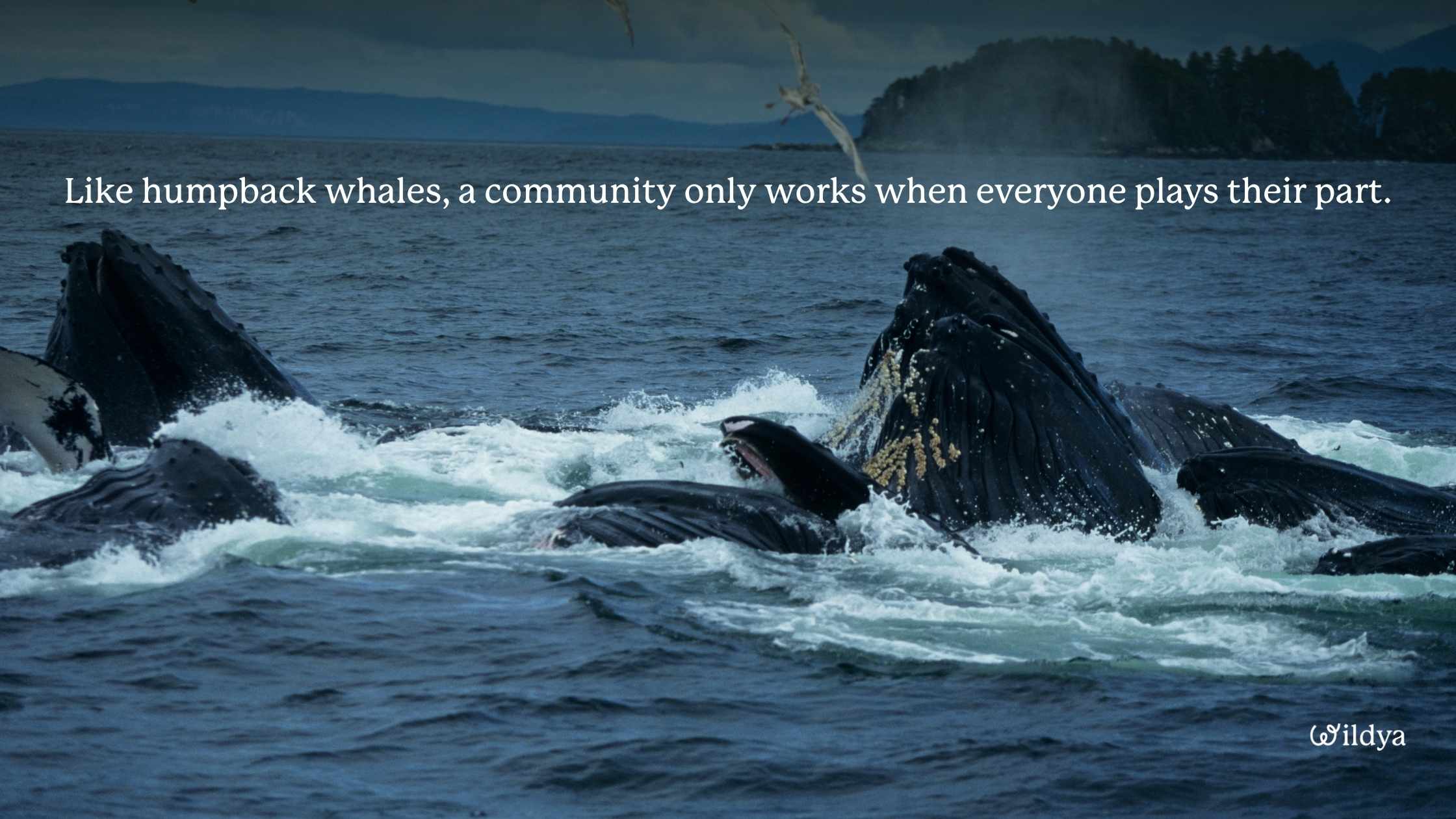 how-to-build-an-online-community-people-come-back-to