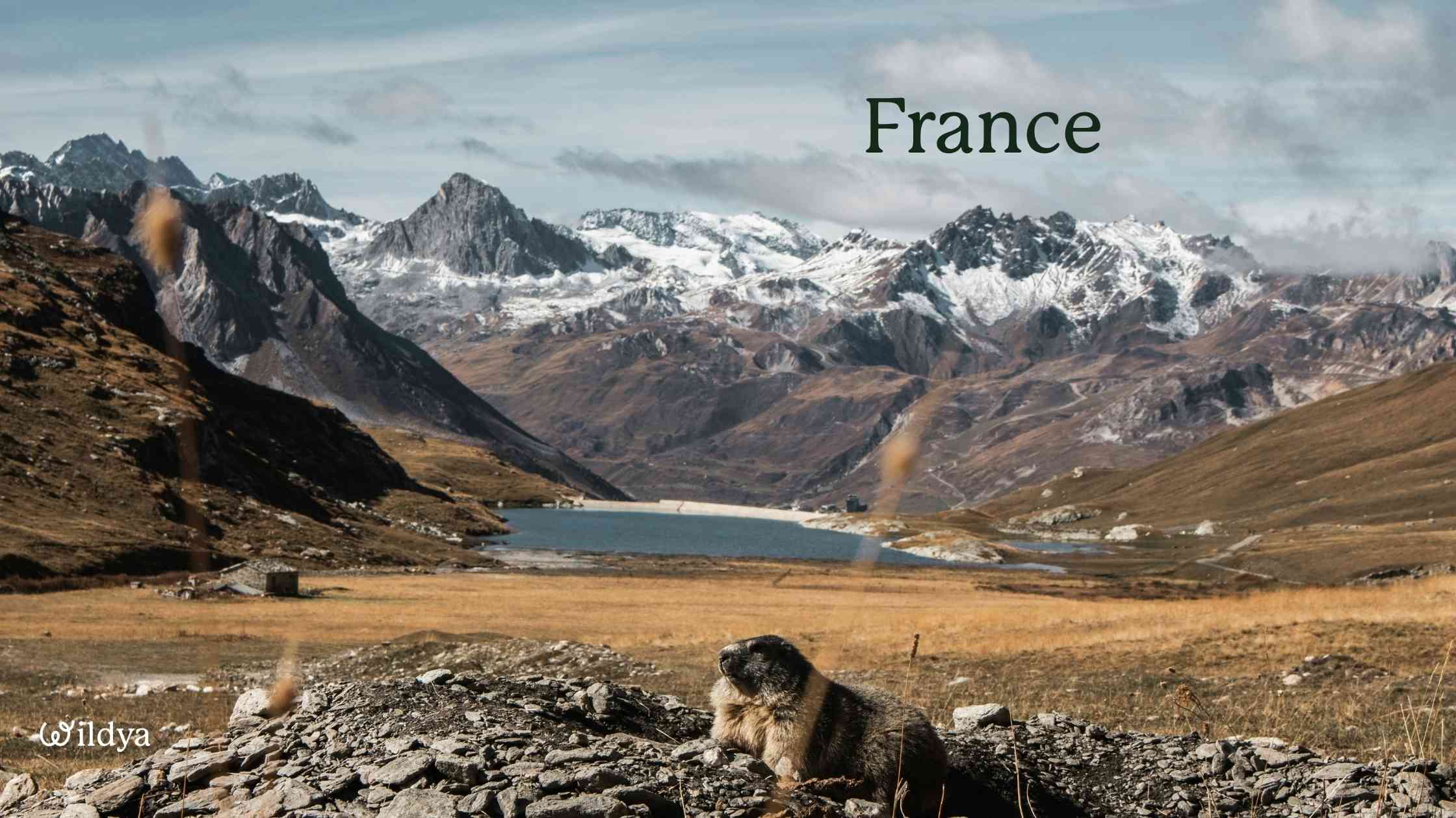 how-to-register-a-company-name-in-France