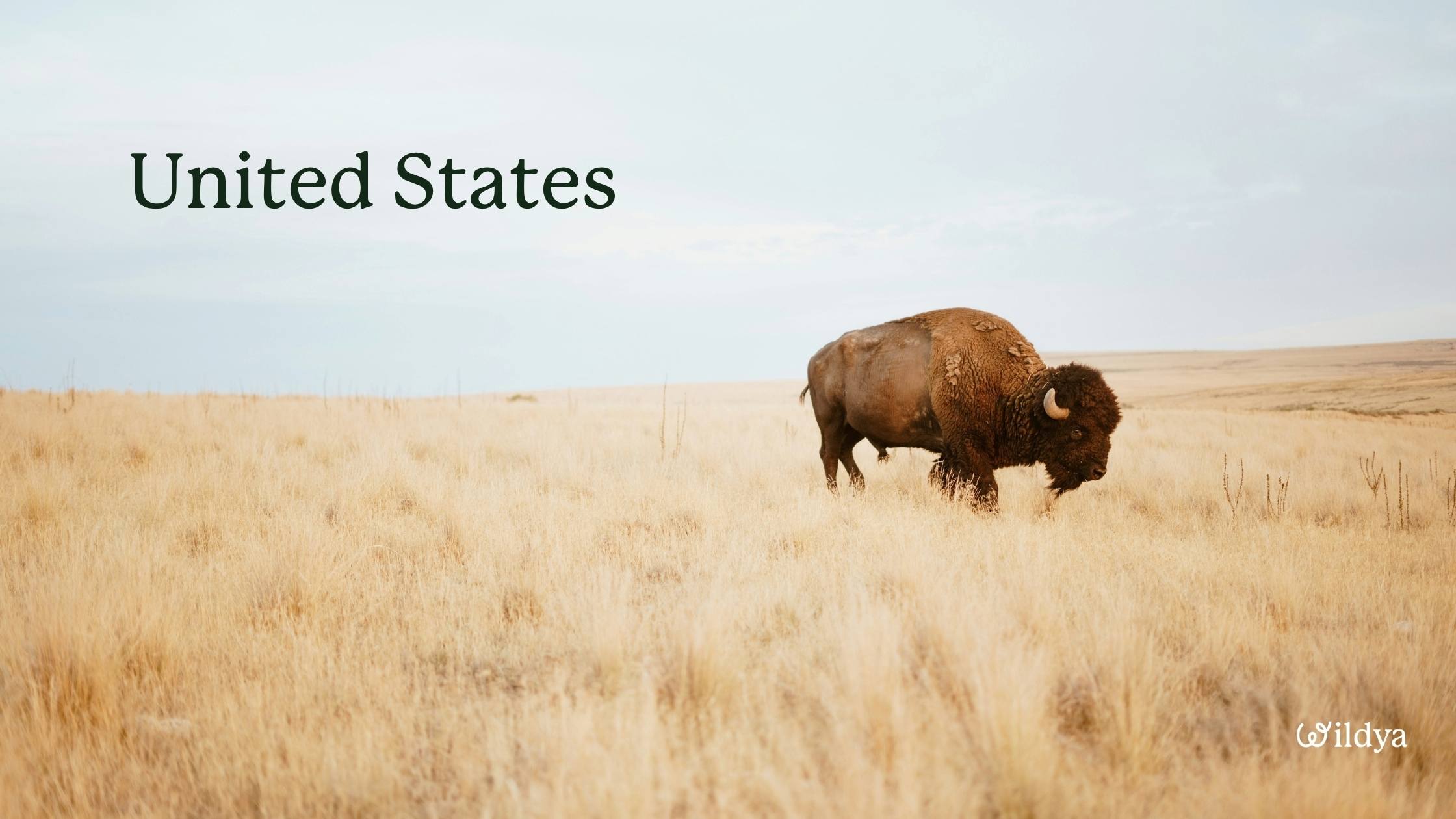 how-to-register-a-company-name-in-United-States