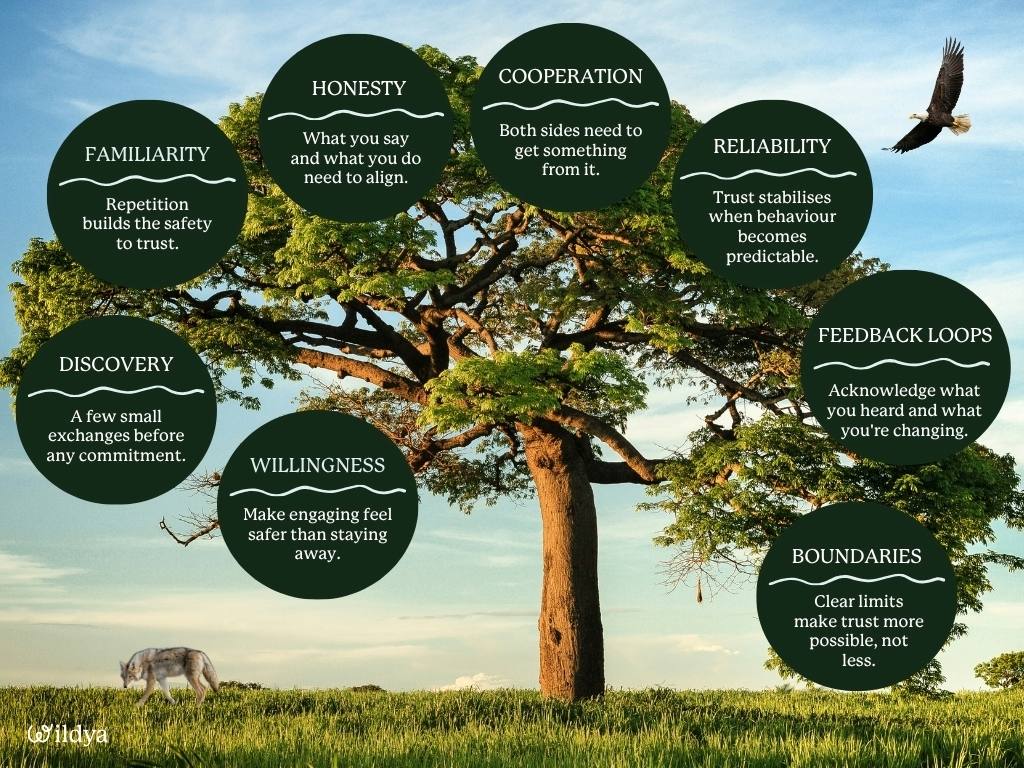 trust-in-business-8-principles-from-nature