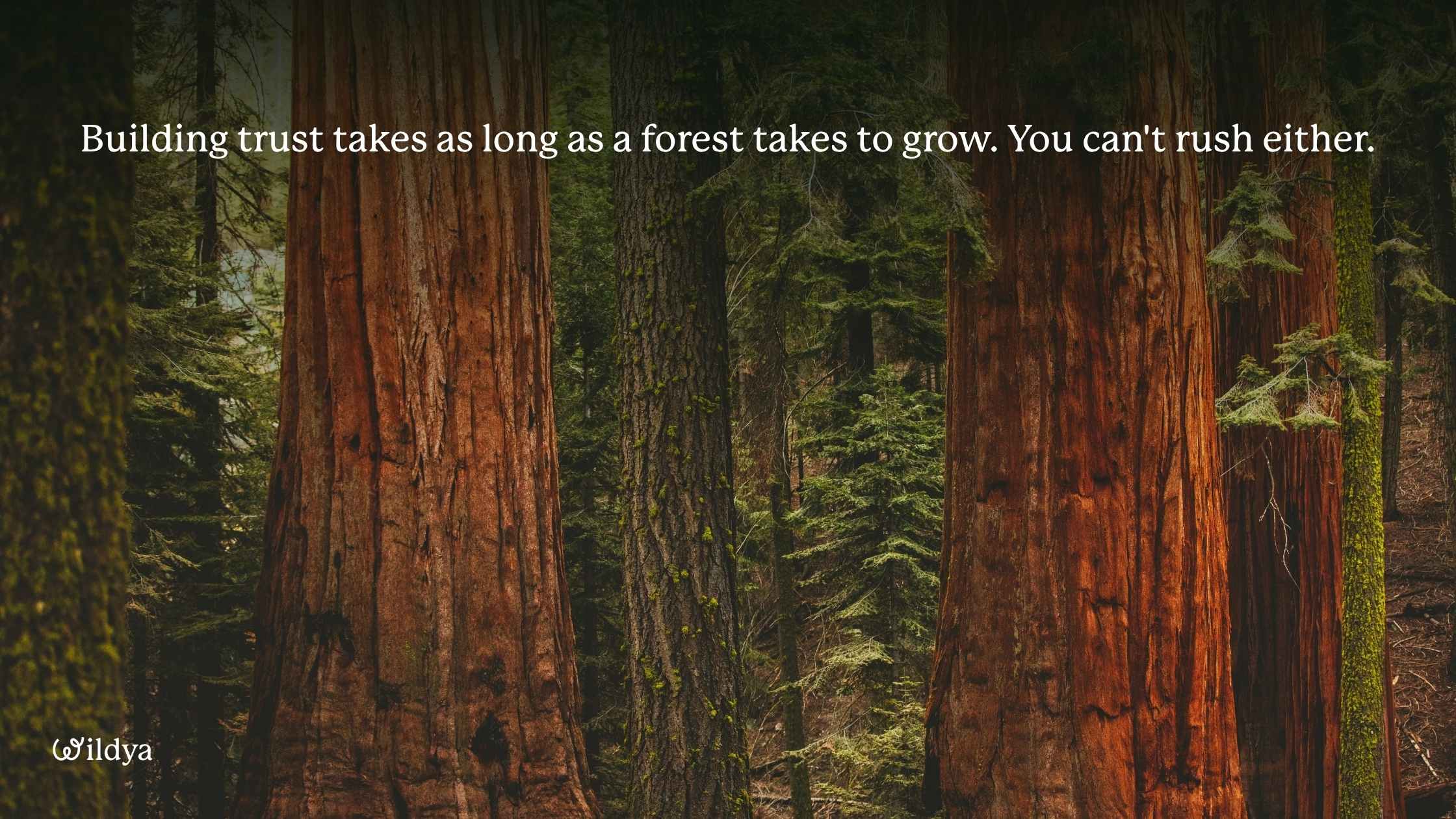 trust-in-business-mistakes