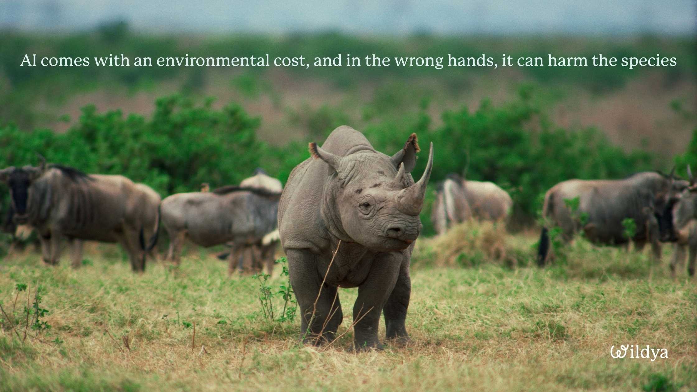 can-AI-save-nature