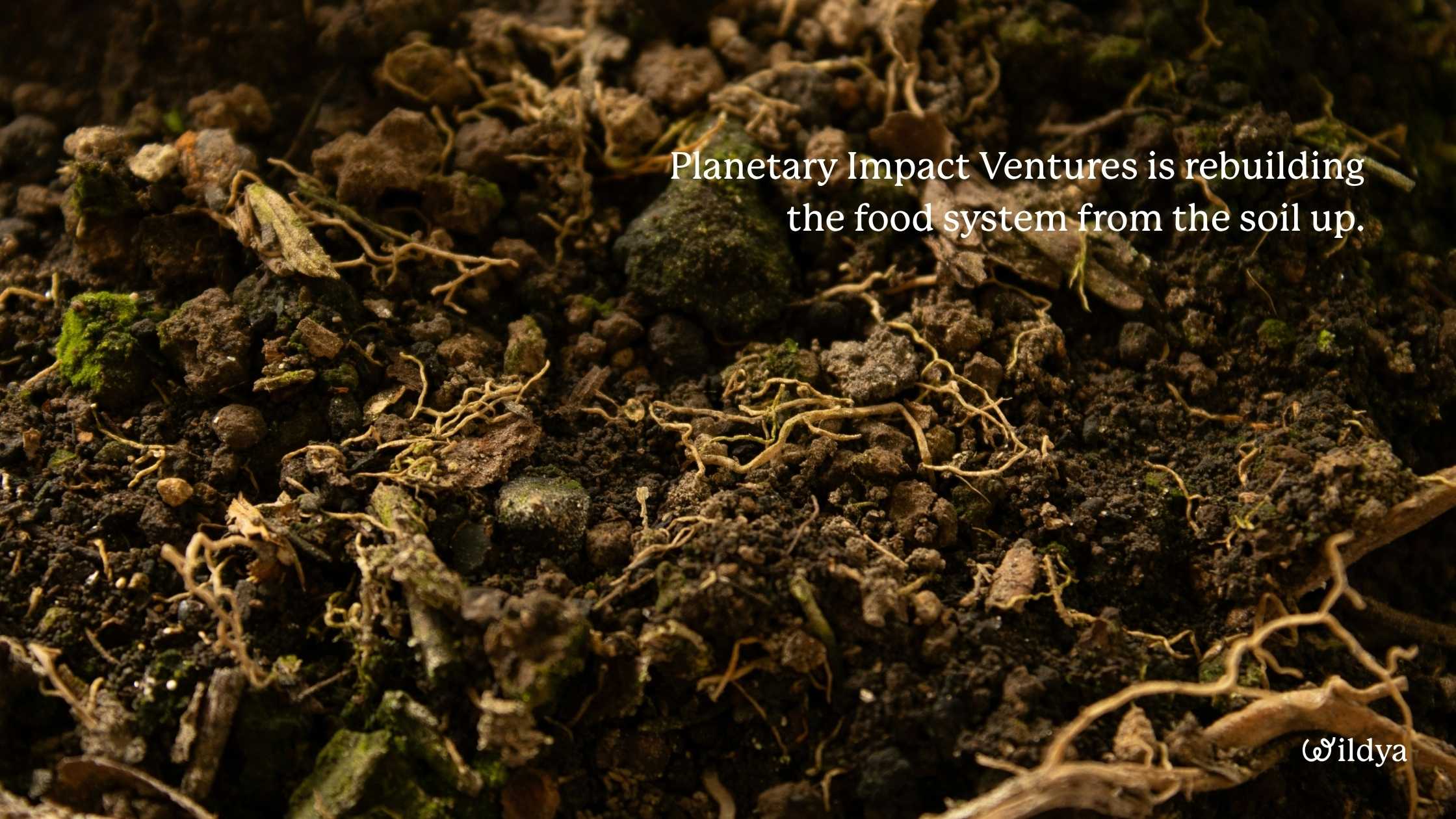 how-to-approach-investors-planetary-impact-ventures