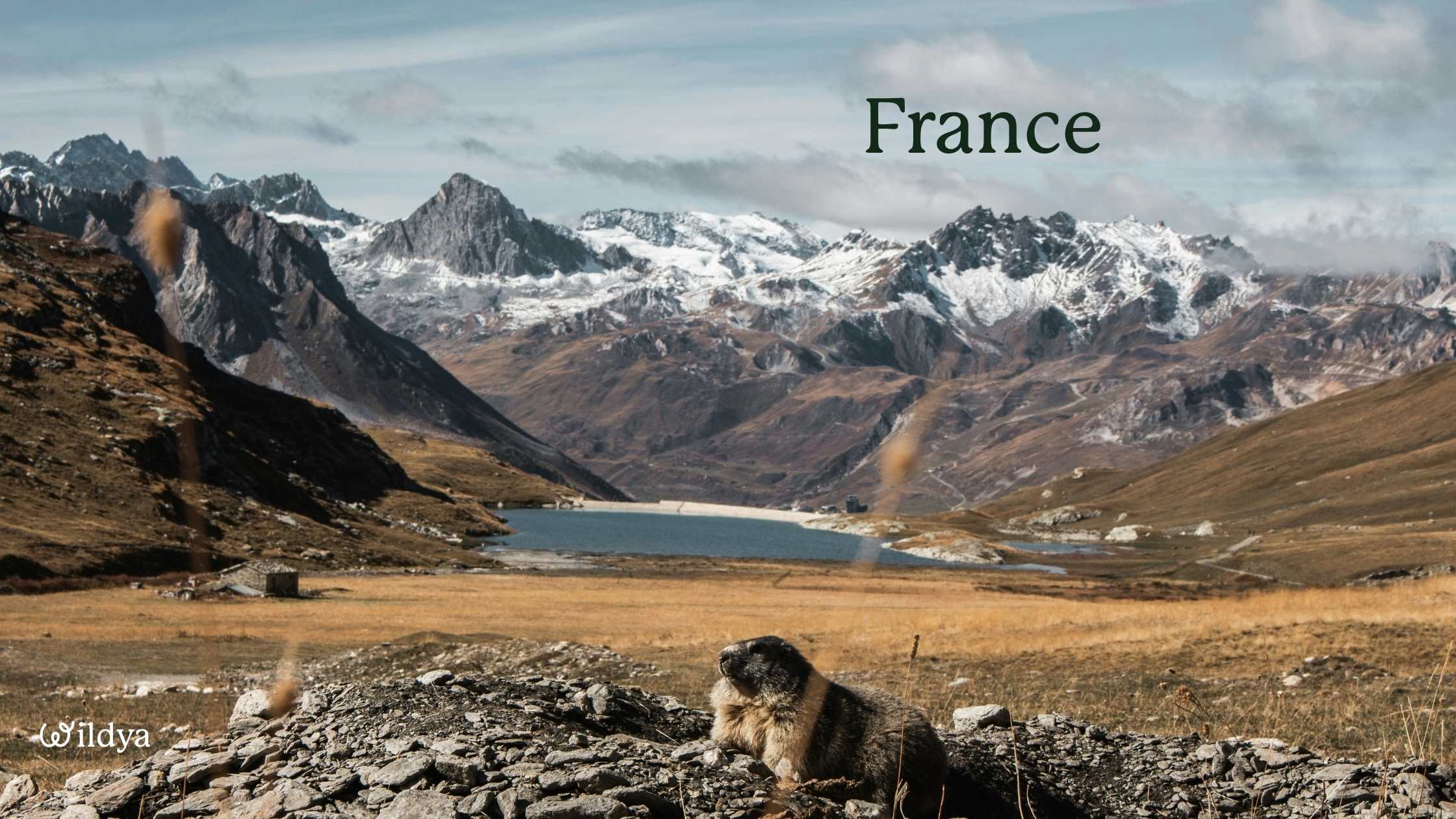 how-to-register-as-a-non-profit-organisation-france