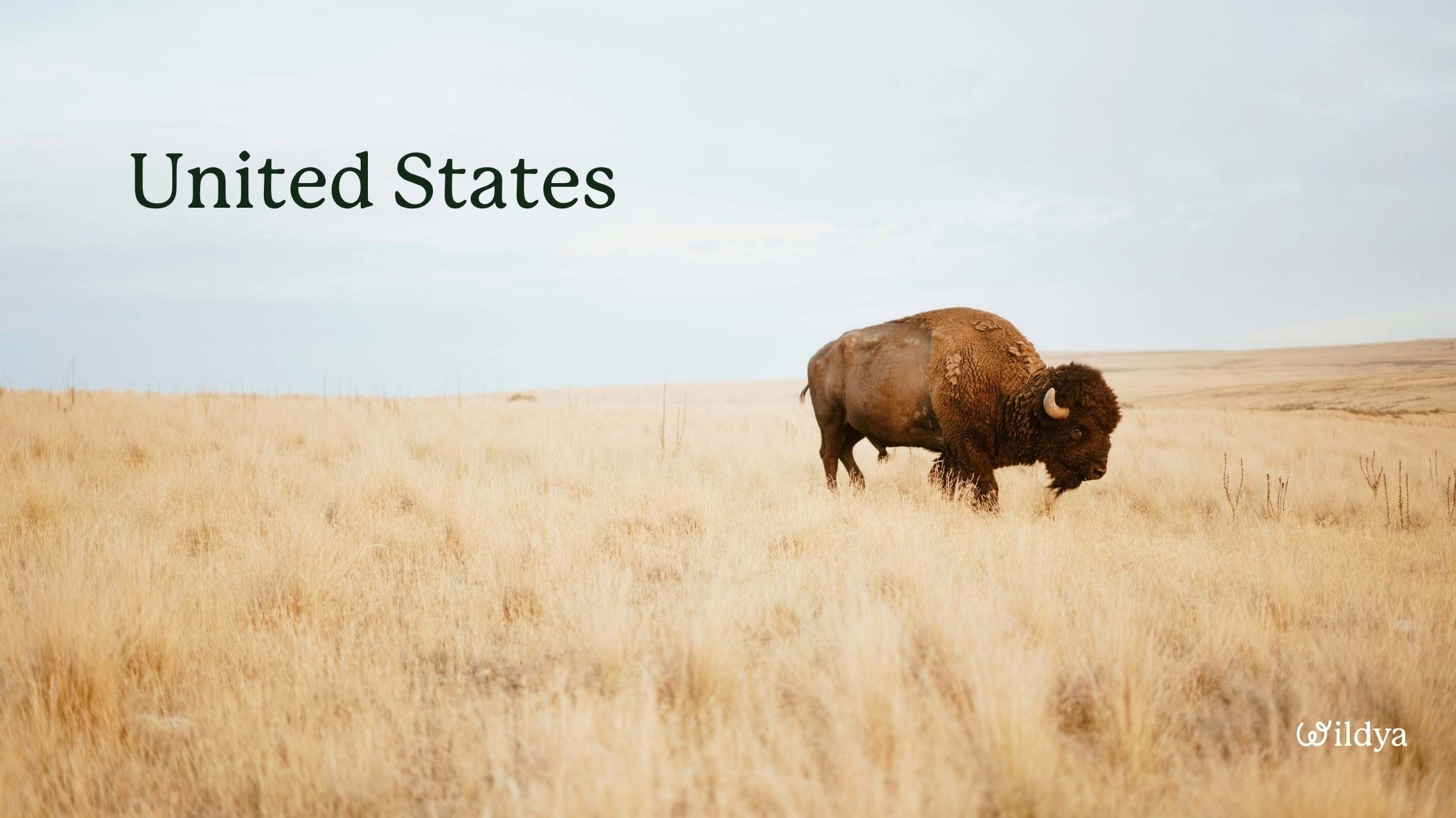 how-to-register-as-a-non-profit-organisation-united-states