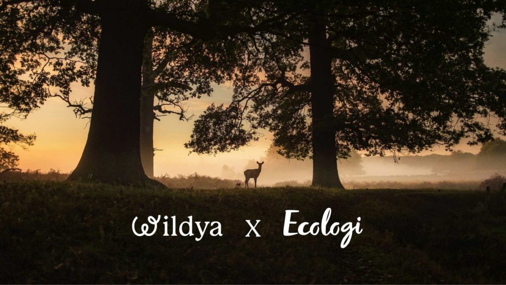 ecologi-webinar-oliver-dauert-speaker