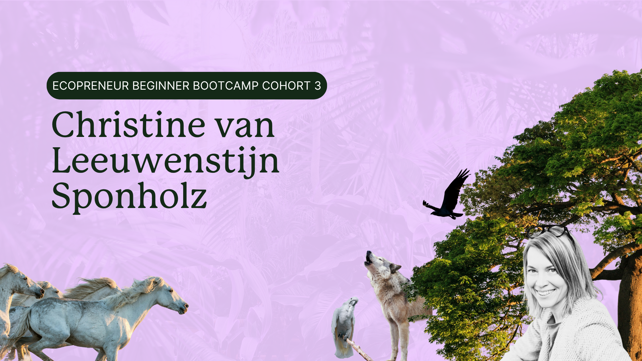 ecopreneur-beginner-bootcamp-cohort-3-Christine-van-Leeuwenstijn-Sponholz
