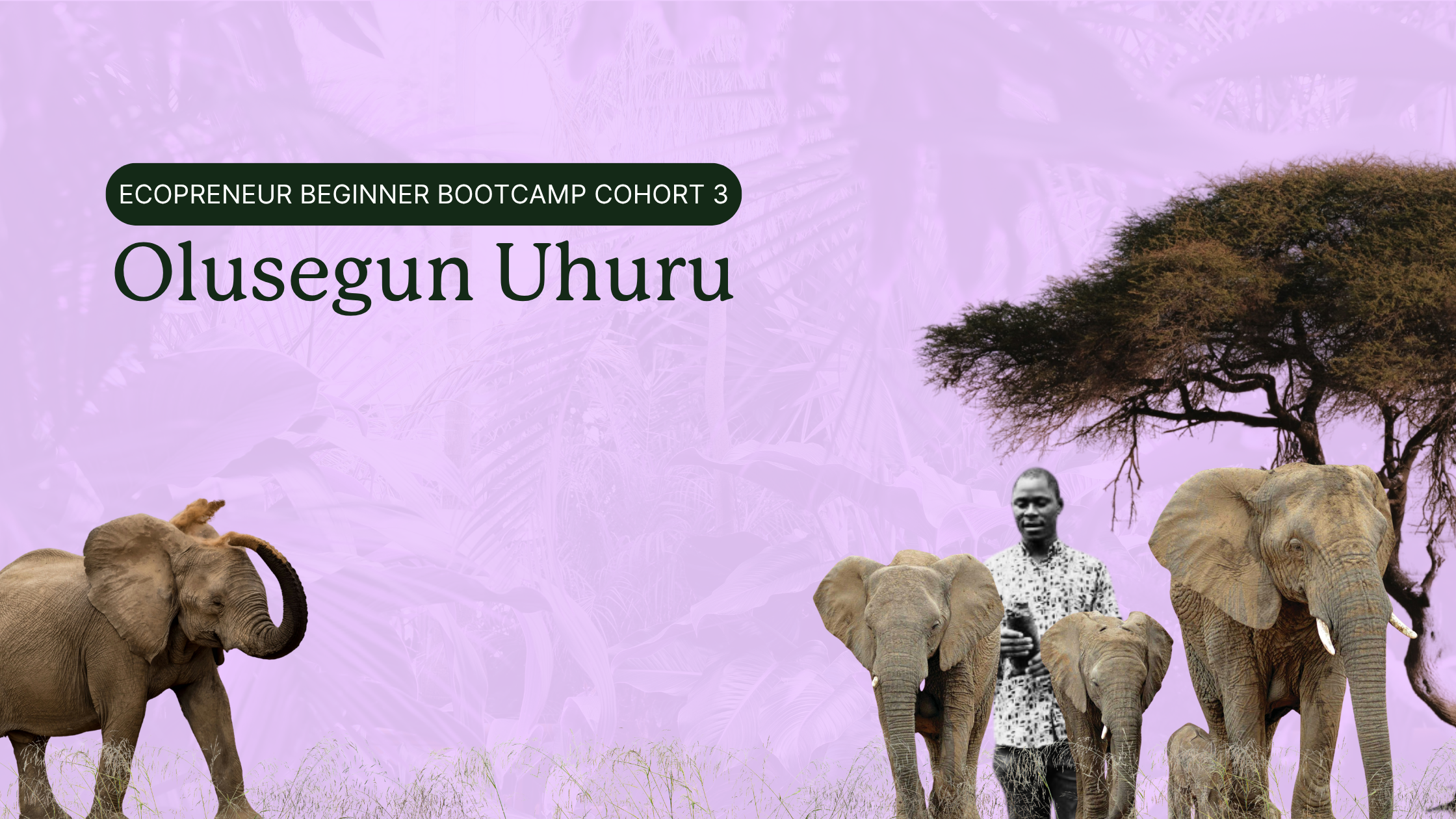 ecopreneur-beginner-bootcamp-cohort-3