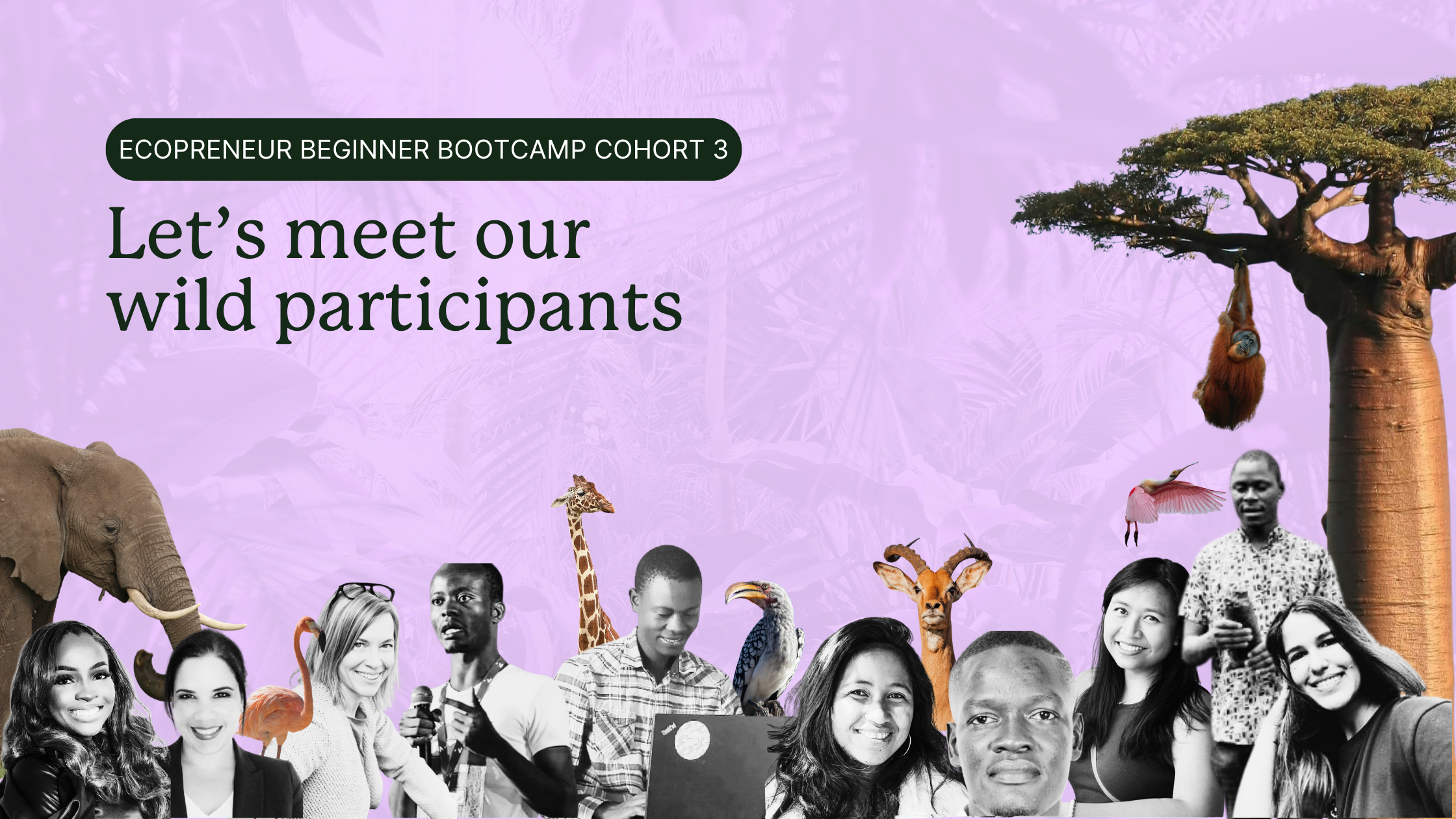 ecopreneur-beginner-bootcamp-cohort-3