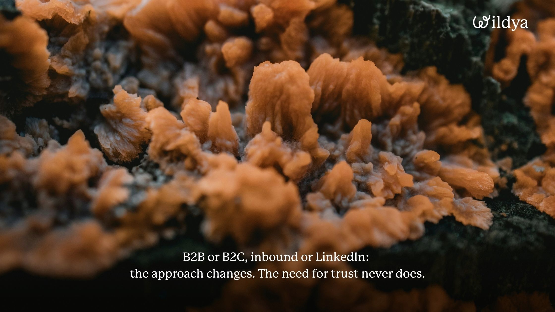 how-to-get-corporate-clients-earn-trust