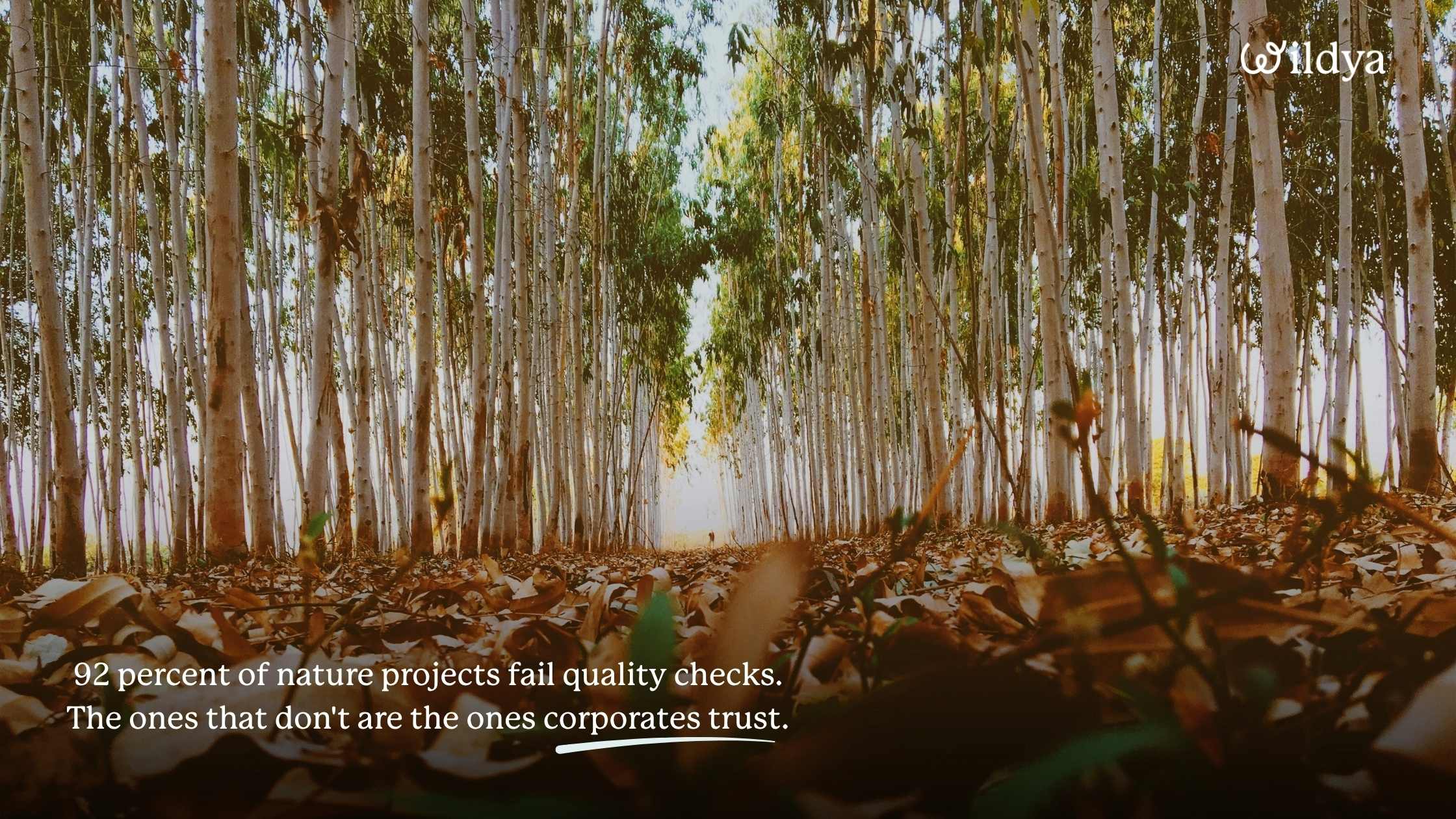 how-to-get-corporate-clients-market-no-trust