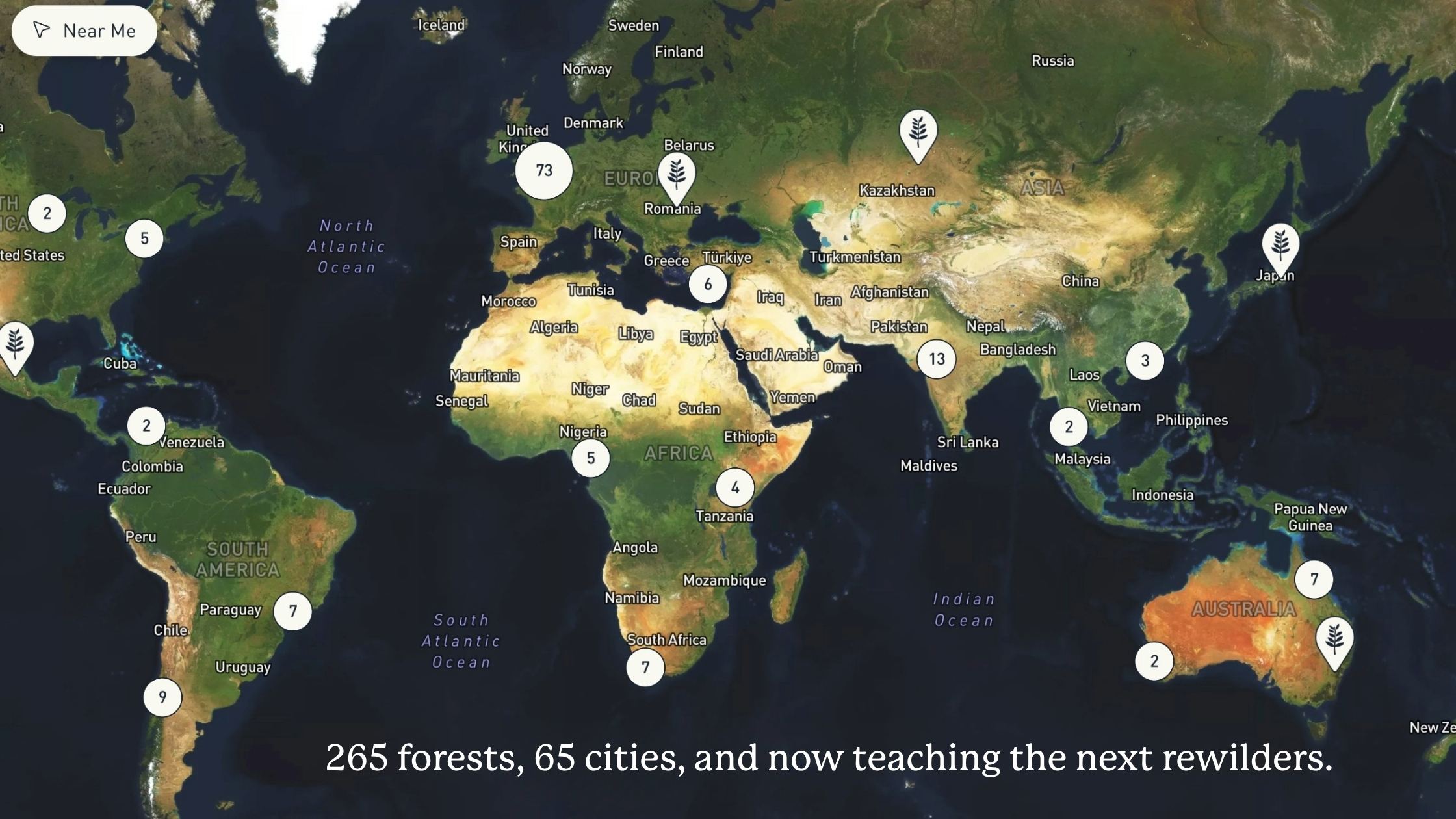 rewilding-cities-what-sugi-project-builds