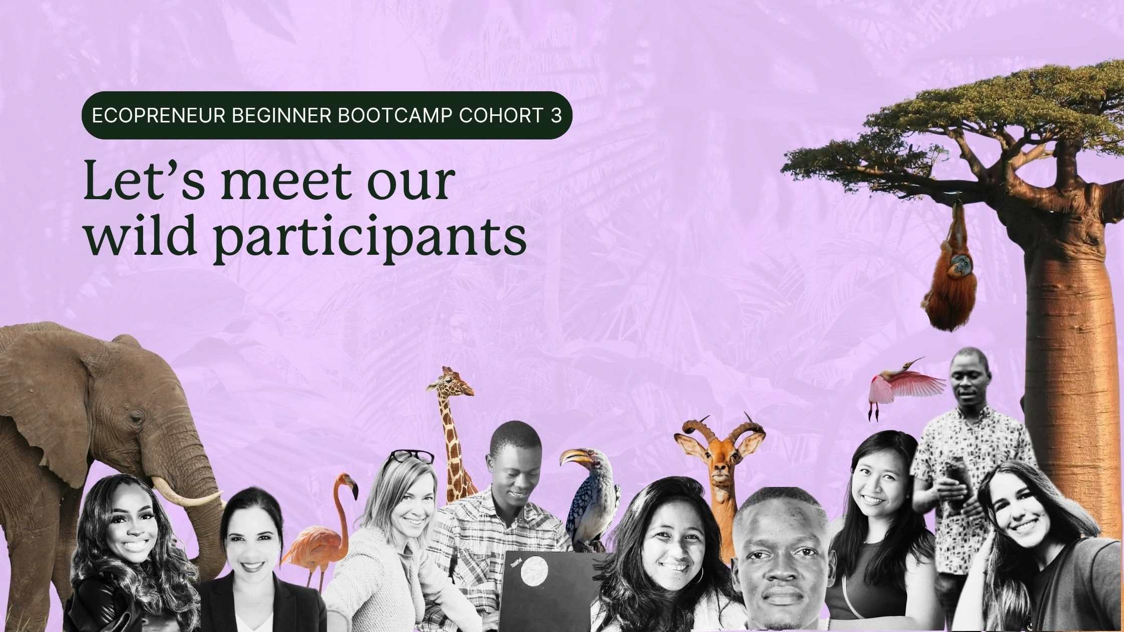 ecopreneur-beginner-bootcamp